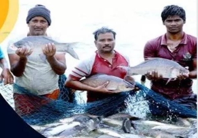 World Fisheries Day