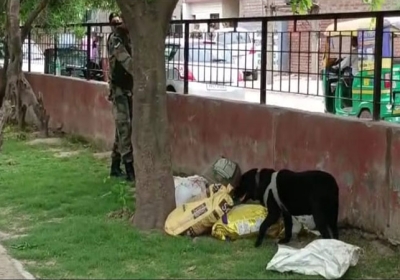 Bomb Shell Found in Panchkula Park