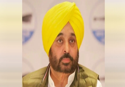 CM Bhagwant Mann Two Big Decisions Related Education Sector