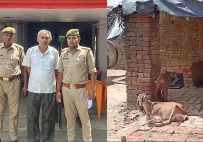 Goat raped in Bulandshahr