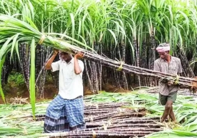 50 लाख गन्ना किसानों को योगी सरकार ने दिया झटका