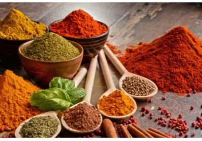 Indian Spices Export