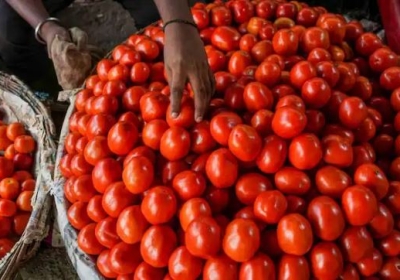 Tomato Prices