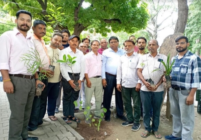 Chandigarh Tree Plantation Drive News