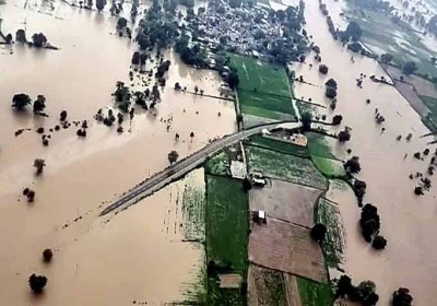 Rain in Haryana destroyed 3.28 lakh acres of crops, see how much wastage