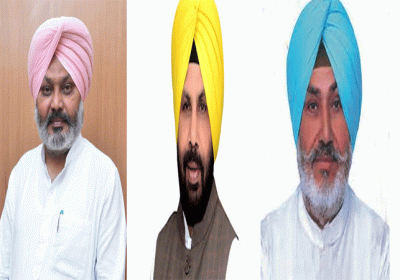 Haryana AAP Appointed Vidhan Sabha Lok Sabha In-Charges