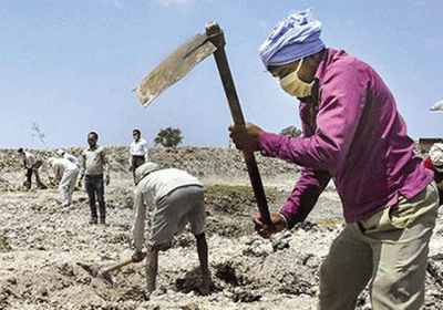 Haryana MGNREGA Workers Attendance News Update