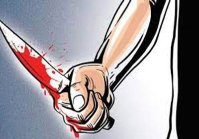 Haryana Man Killed Wife With Sharp Weapon Than Surrender Police News