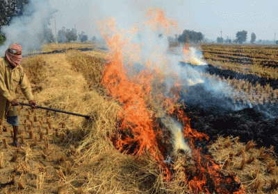 Haryana-Punjab on Burning Stubble Delhi Air Pollution Latest Update