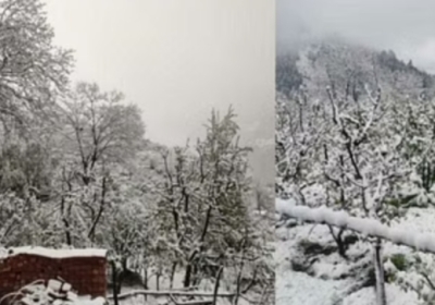 Pangi tribal valley laden with snowfall in the month of May, four inches of snow fell in Killar