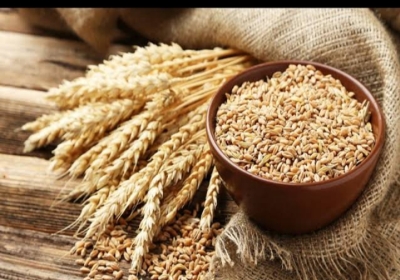 A maximum of 100 metric tonnes of wheat will be purchased on GST number, a maximum of 100 metric tonnes of wheat can be purchased on one PAN number.