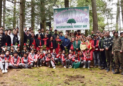 International-Forest-Day