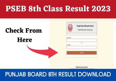 PSEB 8th Result 2023 is declared now see the marksheet details here 