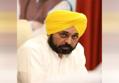 Punjab CM Bhagwant Mann tweet on government jobs in a fake way