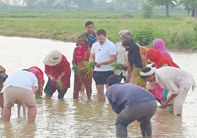  Rahul Gandhi Ne Sonipat Mein Dhaan Lagai