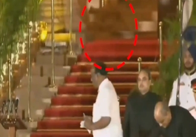 Rashtrapati Bhavan Mysterious Animal During Modi Ministers Oath Ceremony