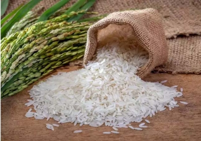 India bans export of non basmati white rice