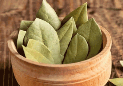 Bay leaf is very sharp, its leaves have a big impact