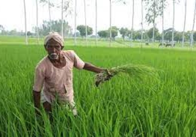 पंजाब कृषि उत्पाद मंडी एक्ट में संशोधन को मंजूरी