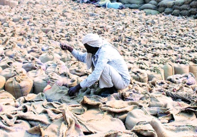 Looting of Farmers in the name of Moisture