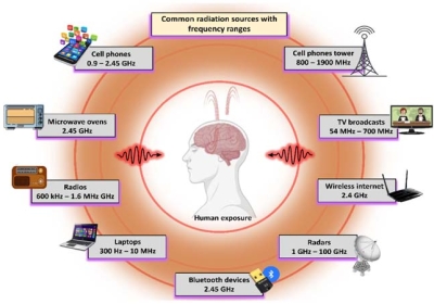 Harmful effects of radiation on humans