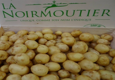 Read Here About World Most Expensive Potato