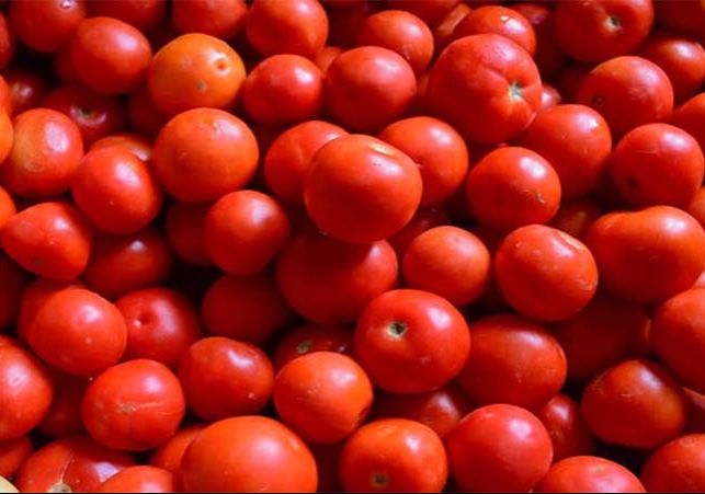 Tomato Price Increased