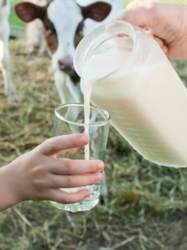 कब्ज में दूध पीना चाहिए या फिर नहीं?